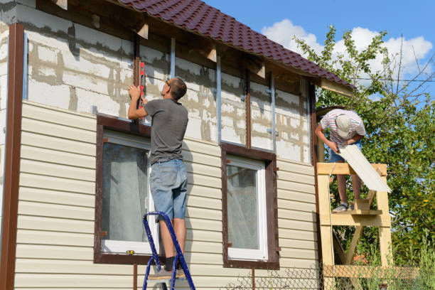 Best Stone Veneer Siding  in Darien, WI