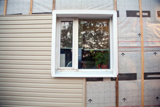 Best Insulated Siding Installation  in Darien, WI