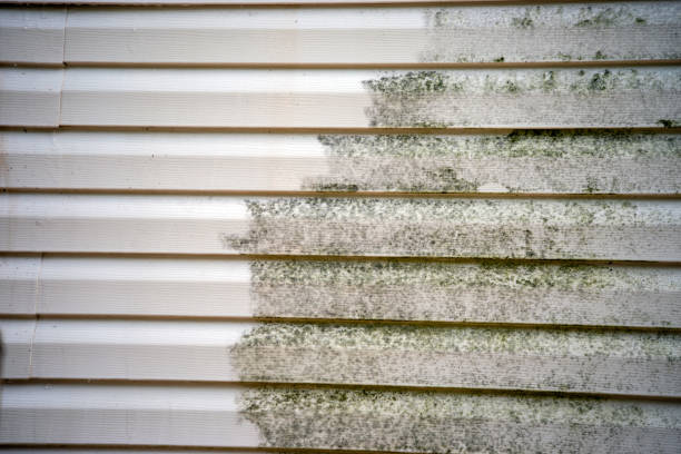 Best Fiber Cement Siding Installation  in Darien, WI