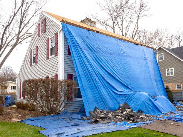 Best Fascia and Soffit Installation  in Darien, WI