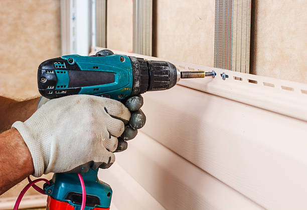 Best Siding Painting and Refinishing  in Darien, WI